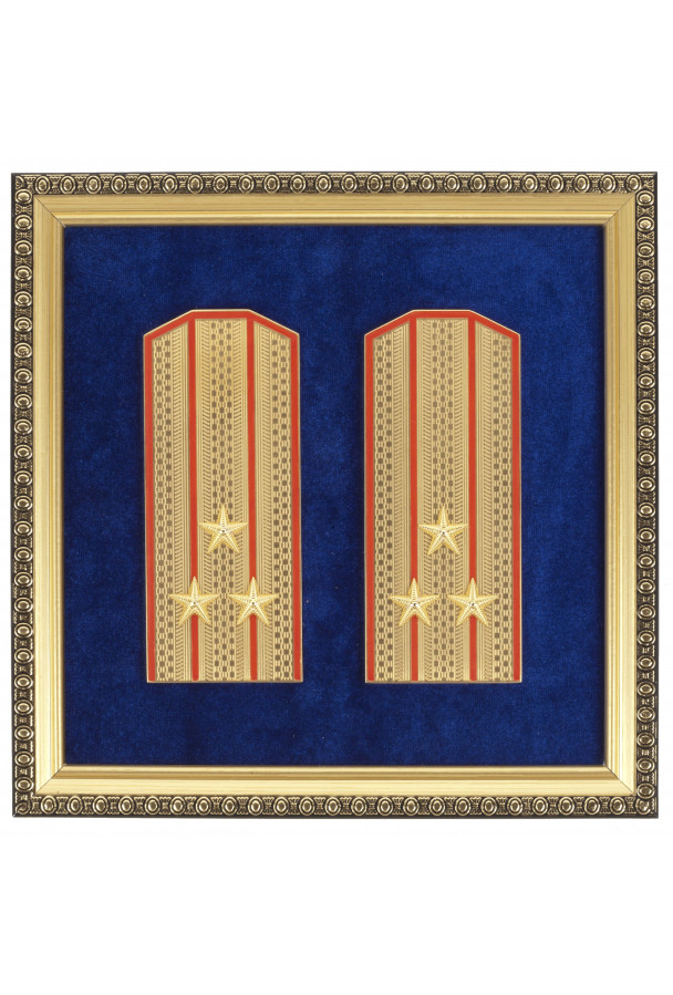Погоны подарочные "Полковник" 20*20 см
