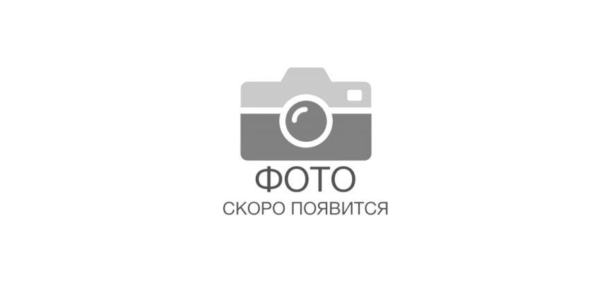ЗАО Практике присвоено звание "Партиаршей Мастерской"