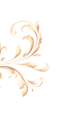 bg1